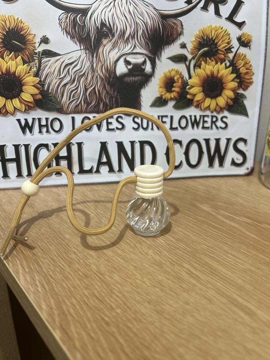 Car diffuser round hanging bottle