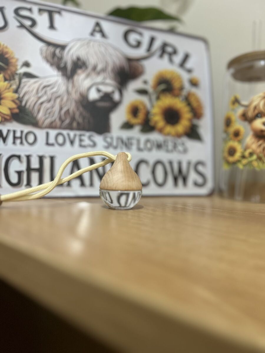 Car diffuser (teardrop hanging bottle)