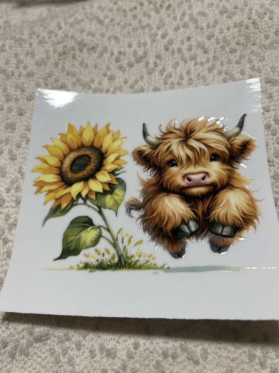 Glass tumbler highland cow