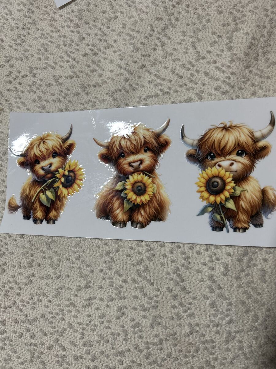 Glass tumbler ( highland cow full wrap)