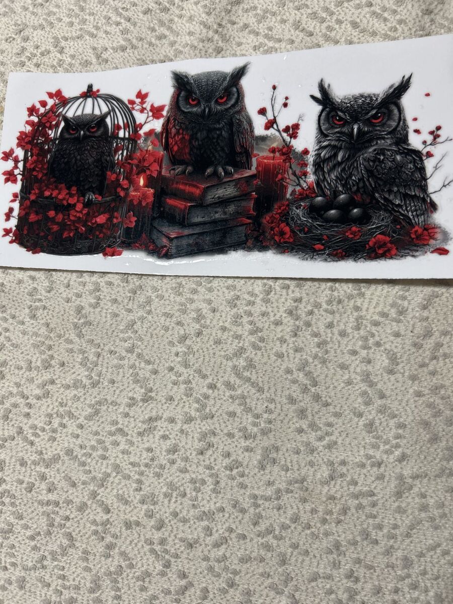 Glass tumbler (owl and books full wrap)